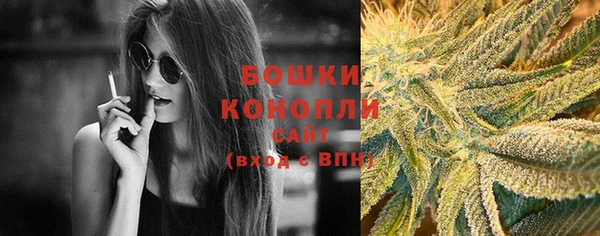 стафф Майский