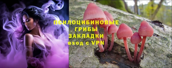 стафф Майский