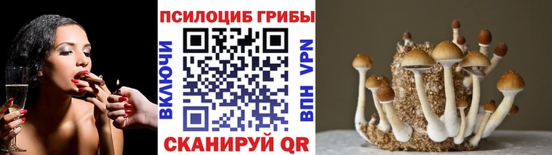 Псилоцибиновые грибы мухоморы Котельники